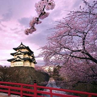 Kobe Japan wallpaper