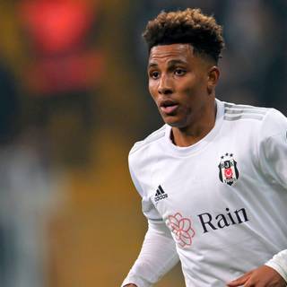 Gedson Fernandes wallpaper