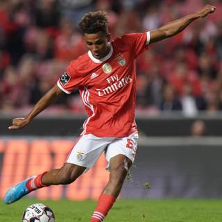 Gedson Fernandes wallpaper