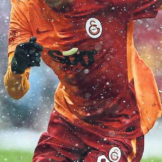 Gedson Fernandes wallpaper