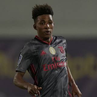 Gedson Fernandes wallpaper