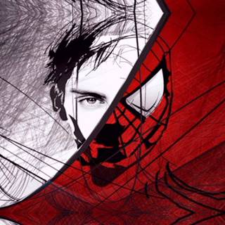 Tobey Maguire Spider-Man desktop wallpaper