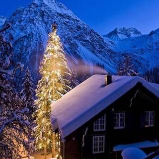 Christmas winter night mobile wallpaper
