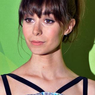 How I Met Your Mother Tracy wallpaper