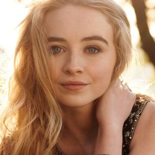 Carpenter 4k wallpaper