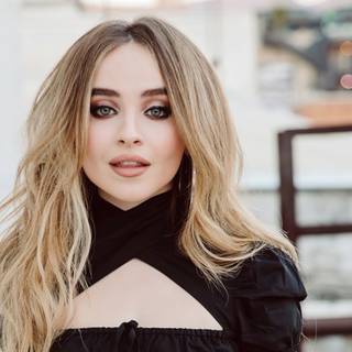 Carpenter 4k wallpaper