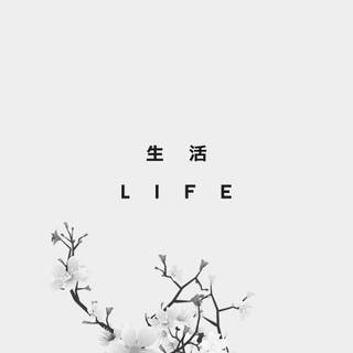 Cute white wallpaper