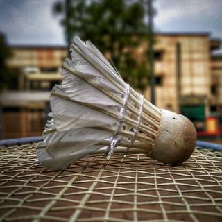 Badminton phone wallpaper