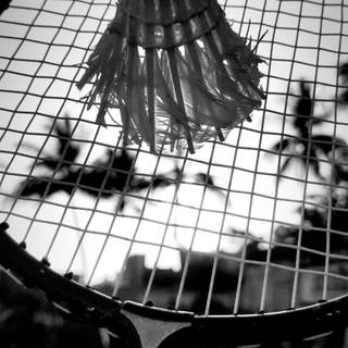 Badminton phone wallpaper