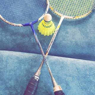 Badminton phone wallpaper