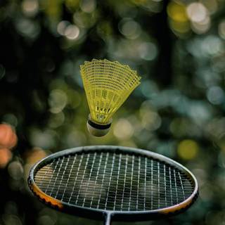 Badminton phone wallpaper