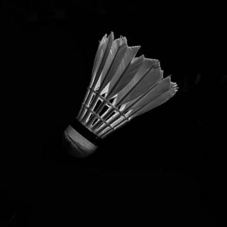 Badminton phone wallpaper