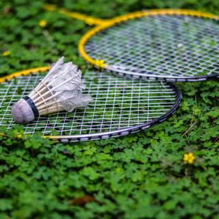 Badminton racket wallpaper