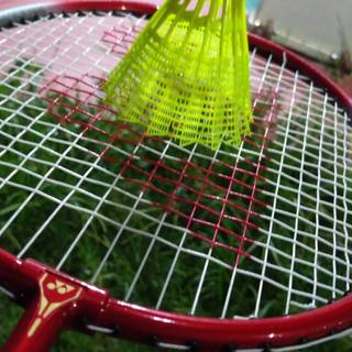 Badminton phone wallpaper