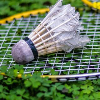 Badminton phone wallpaper