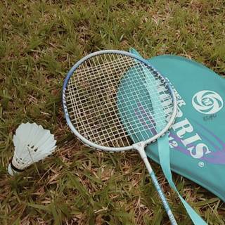 Badminton phone wallpaper