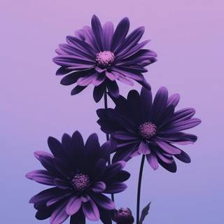 Purple flower iPhone wallpaper