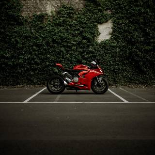 Ducati Panigale iPhone wallpaper