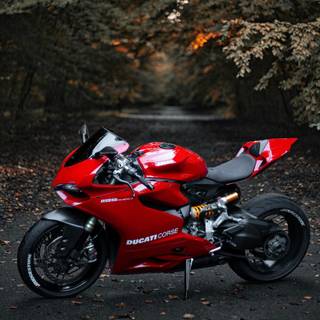 Ducati Panigale iPhone wallpaper