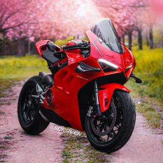 Ducati Panigale iPhone wallpaper