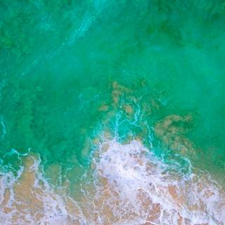 iPhone view wallpaper