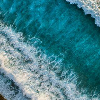 iPhone view wallpaper