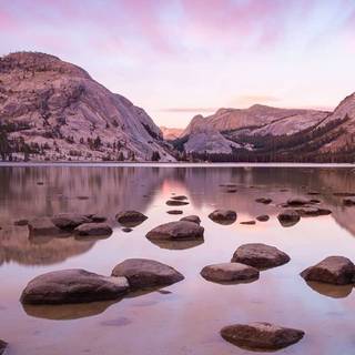 iPhone view wallpaper