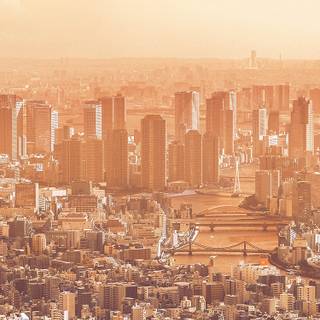 iPhone view wallpaper