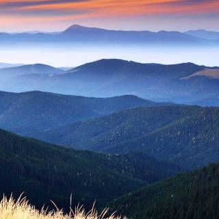 iPhone view wallpaper