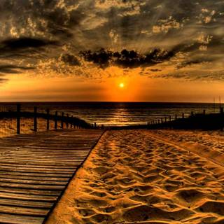 iPhone view wallpaper