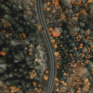 iPhone view wallpaper