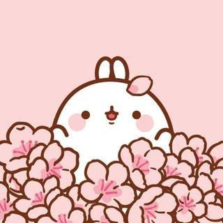 Molang iPhone wallpaper