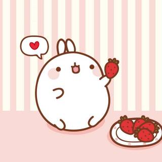 Molang iPhone wallpaper