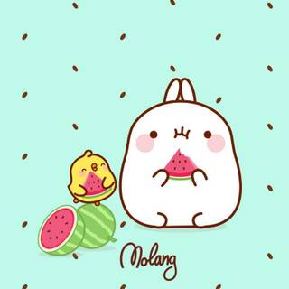 Molang iPhone wallpaper