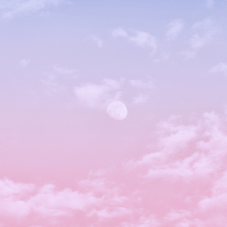 Cute iPhone 13 wallpaper