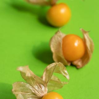 Golden gooseberry wallpaper