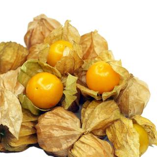 Golden gooseberry wallpaper