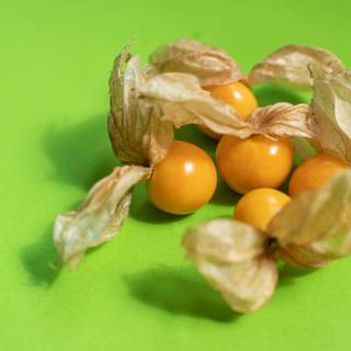 Golden gooseberry wallpaper