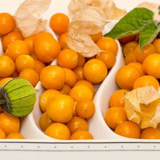 Golden gooseberry wallpaper