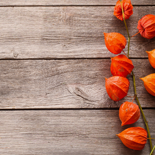 Golden gooseberry wallpaper