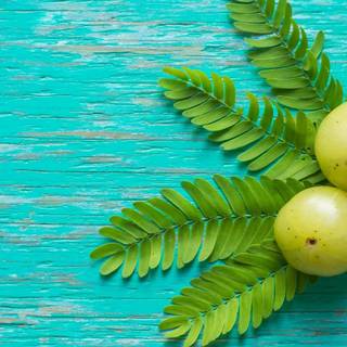 Golden gooseberry wallpaper