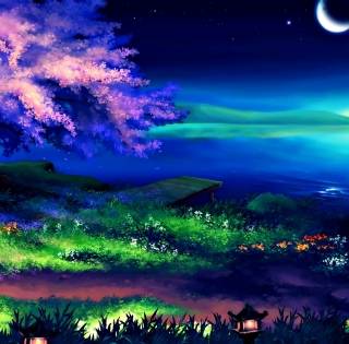 Spring night desktop wallpaper