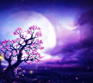 Spring night desktop wallpaper