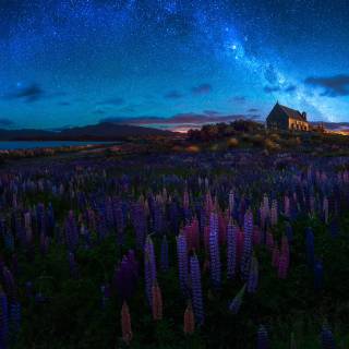 Spring night desktop wallpaper