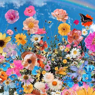 Flower cute spring wallpaper