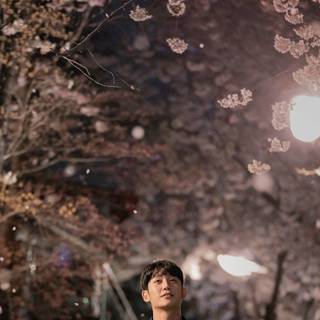 Spring night phone wallpaper