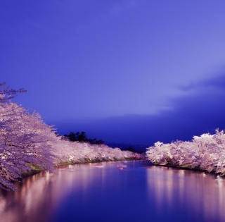 Spring night desktop wallpaper