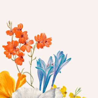 Flower cute spring wallpaper