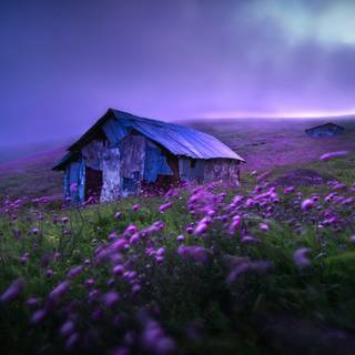 Spring night desktop wallpaper