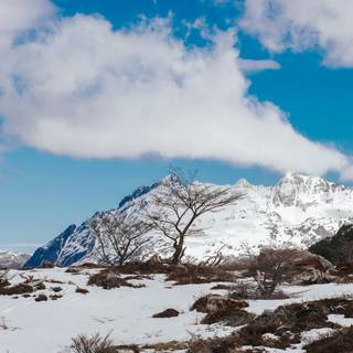 Simple winter mountains wallpaper